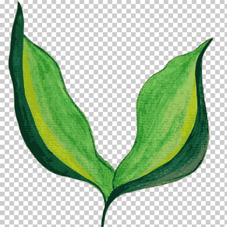 Leaf Watercolor Painting PNG, Clipart, Art, Autumn Leaf Color, Color Chart, Fingerpaint, Flower Free PNG Download