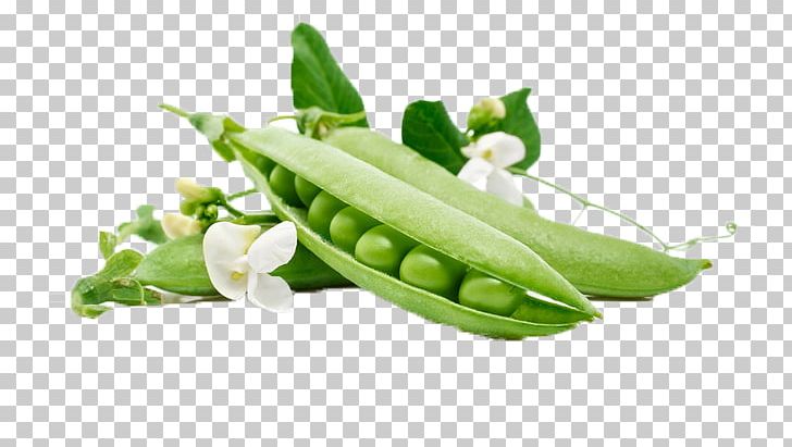 Snow Pea Vegetable Fruit PNG, Clipart, Bean, Common Bean, Cucumber, Food, Fresh Free PNG Download