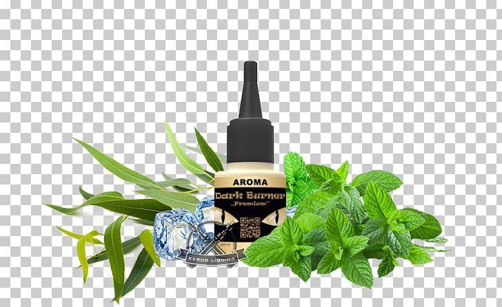 Tea Organic Food Peppermint Spearmint Herb PNG, Clipart, Apple Mint, Food, Herb, Herbal Tea, Lemon Balm Free PNG Download