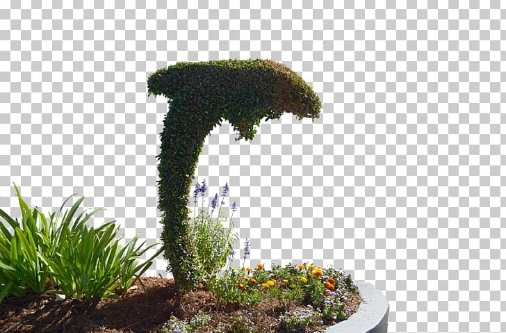 Topiary Stock Photography Shrub PNG, Clipart, Art, Deviantart, Drawing, Flora, Flowerpot Free PNG Download