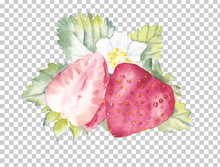 Watercolor Painting Strawberry Fruit PNG, Clipart, Cherry, Color, Download, Drawing, Flower Free PNG Download