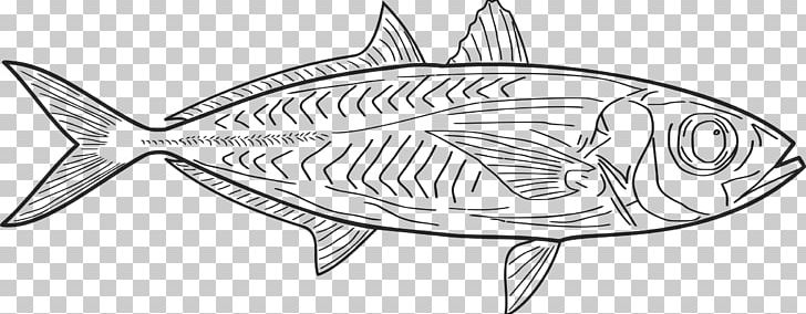 Fish Line Art Drawing Sketch PNG, Clipart, Angle, Animals, Art, Artwork, Black And White Free PNG Download