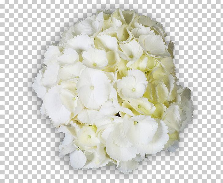 Hydrangea Floral Design Cut Flowers Flower Bouquet PNG, Clipart, Cornales, Cut Flowers, Floral Design, Floristry, Flower Free PNG Download