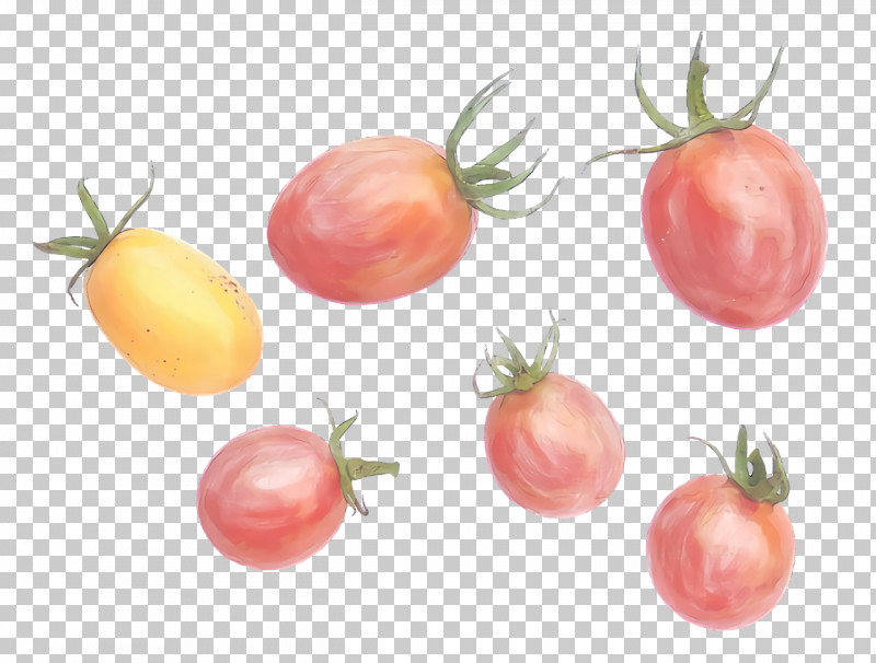 Tomato PNG, Clipart, Apple, Bush Tomato, Datterino Tomato, Local Food, Natural Foods Free PNG Download