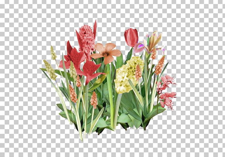 Cut Flowers Tulip Flower Bouquet PNG, Clipart, Blue, Canna Family, Canna Lily, Color, Cut Flowers Free PNG Download