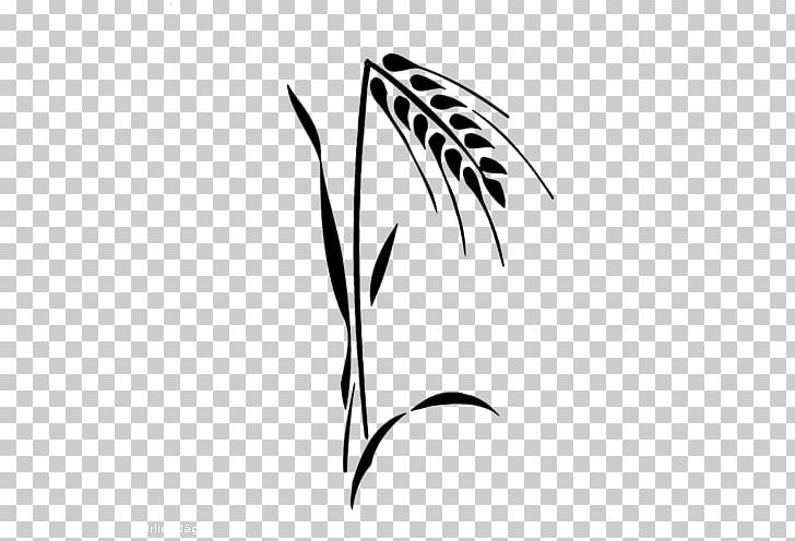 Ear Drawing Plant Stem PNG, Clipart, Artwork, Black, Black And White, Branch, Commodity Free PNG Download