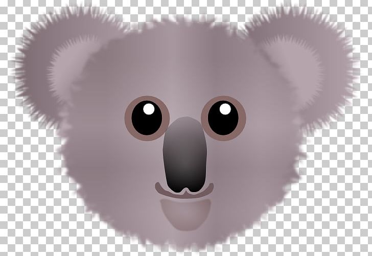 Koala Bear Wombat PNG, Clipart, Animals, Animated Film, Bear, Carnivoran, Cuteness Free PNG Download