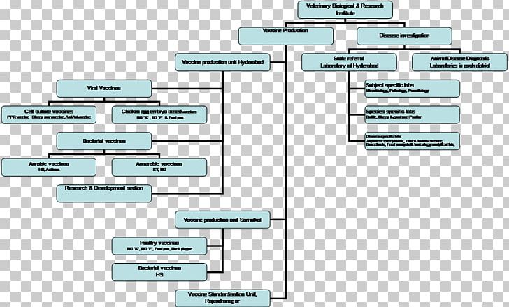 Organizational Chart Flowchart Research PNG, Clipart, Angle, Animal Husbandry, Area, Brand, Business Process Free PNG Download