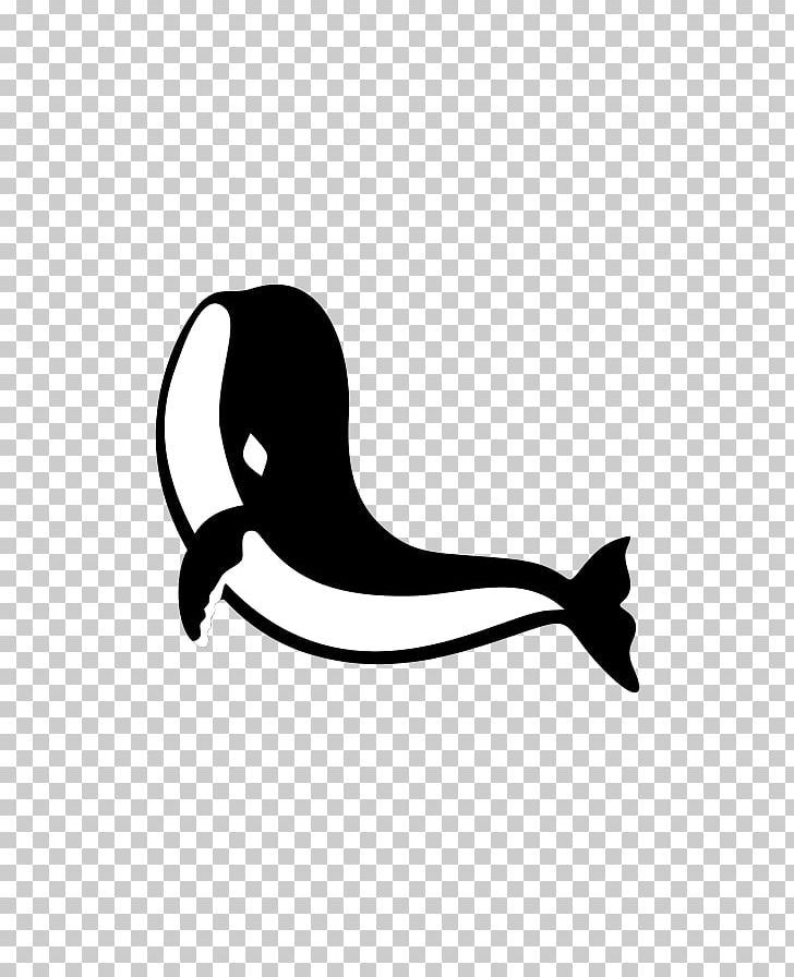 Shark Computer Icons PNG, Clipart, Beak, Bird, Black, Black And White, Computer Icons Free PNG Download