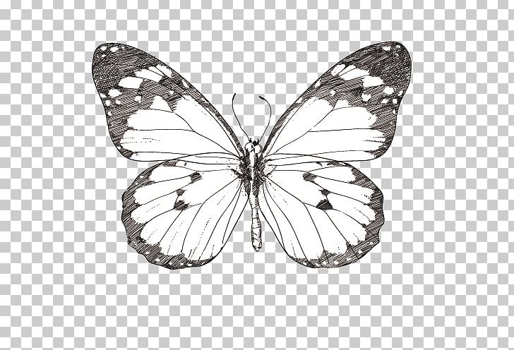 Monarch Butterfly Drawing Illustration PNG, Clipart, Animal, Art, Brush Footed Butterfly, Design Element, Elements Vector Free PNG Download