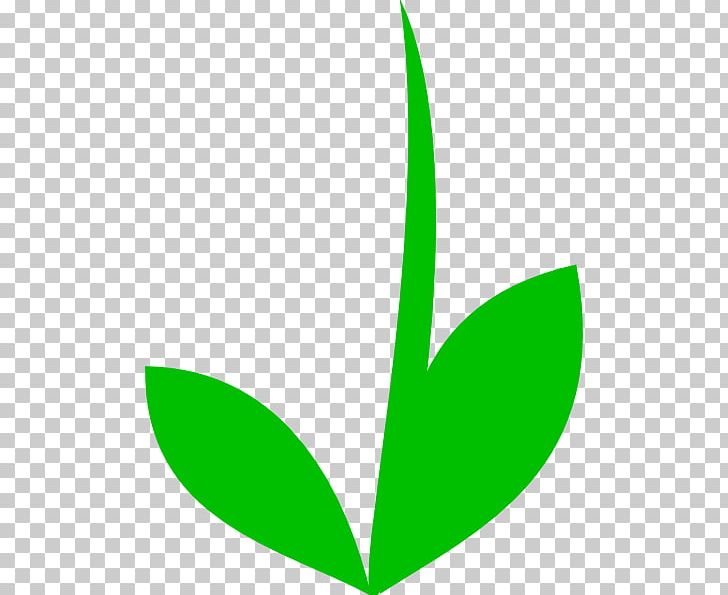 Plant Stem Flower Leaf PNG, Clipart, Blog, Clip Art, Color, Flower, Flower Stem Free PNG Download