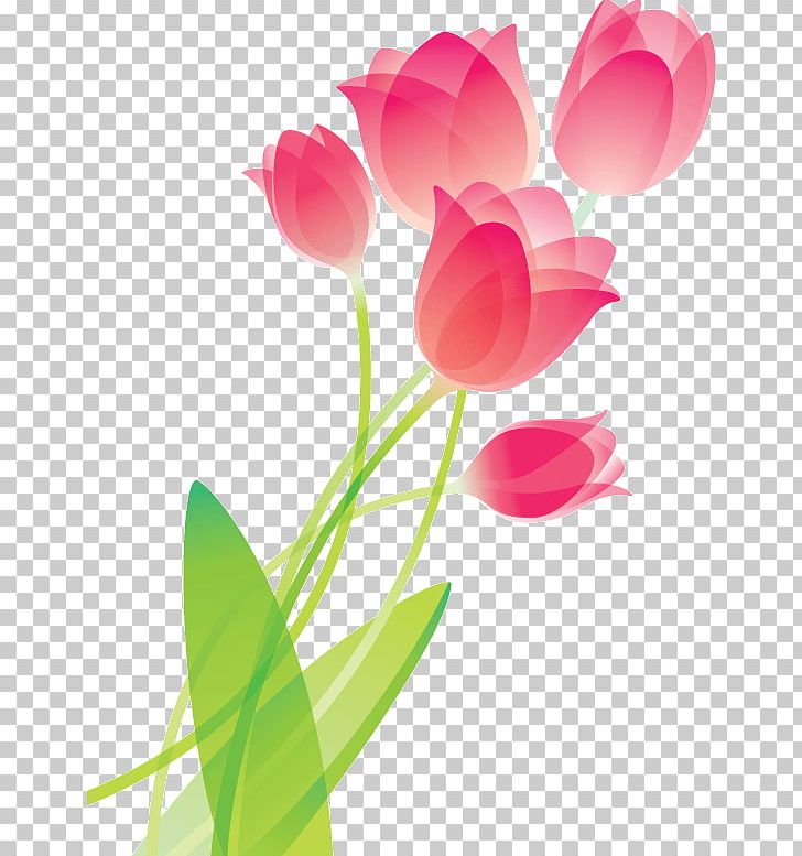 Tulip Drawing Flower PNG, Clipart, Abstract Background, Abstract Lines, Abstract Shapes, Computer Wallpaper, Encapsulated Postscript Free PNG Download