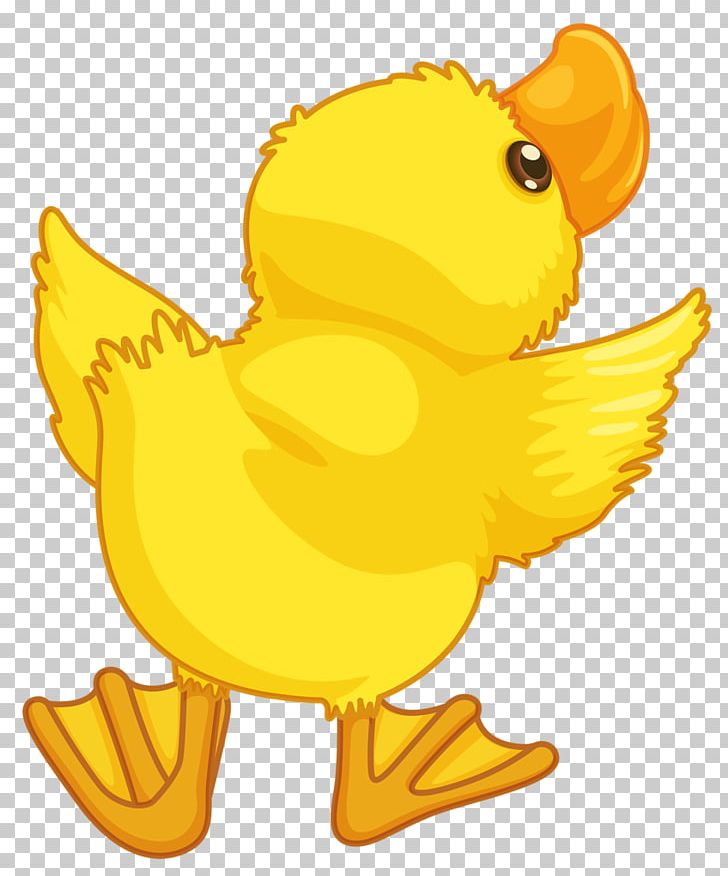 Baby Ducks Cartoon PNG, Clipart, Animal Figure, Animals, Baby, Baby Ducks, Beak Free PNG Download