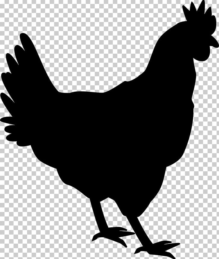 Chicken Rooster Silhouette Drawing PNG, Clipart, Animals, Art, Beak, Bird, Black And White Free PNG Download