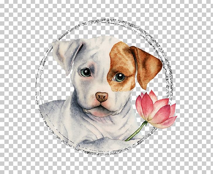 Dog Breed American Pit Bull Terrier Staffordshire Bull Terrier T-shirt PNG, Clipart, American Bulldog, American Pit Bull Terrier, Bulldog, Carnivoran, Clothing Free PNG Download