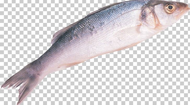 Sardine European Bass Fish Common Sole Drums PNG, Clipart, Anchovy, Animals, Bass, Bluefish, Bony Fish Free PNG Download