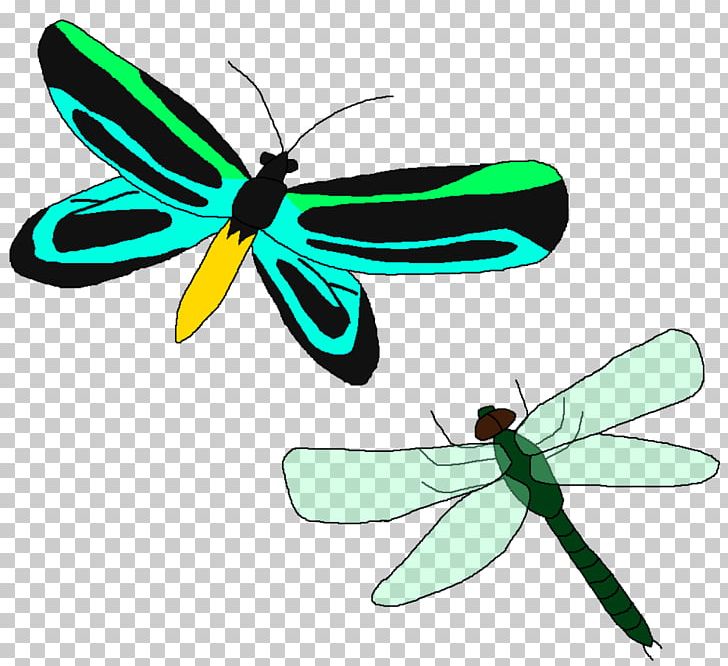 Butterfly Wing Propeller Insect PNG, Clipart, Arthropod, Birdwing, Butterflies And Moths, Butterfly, Dragonflies And Damseflies Free PNG Download