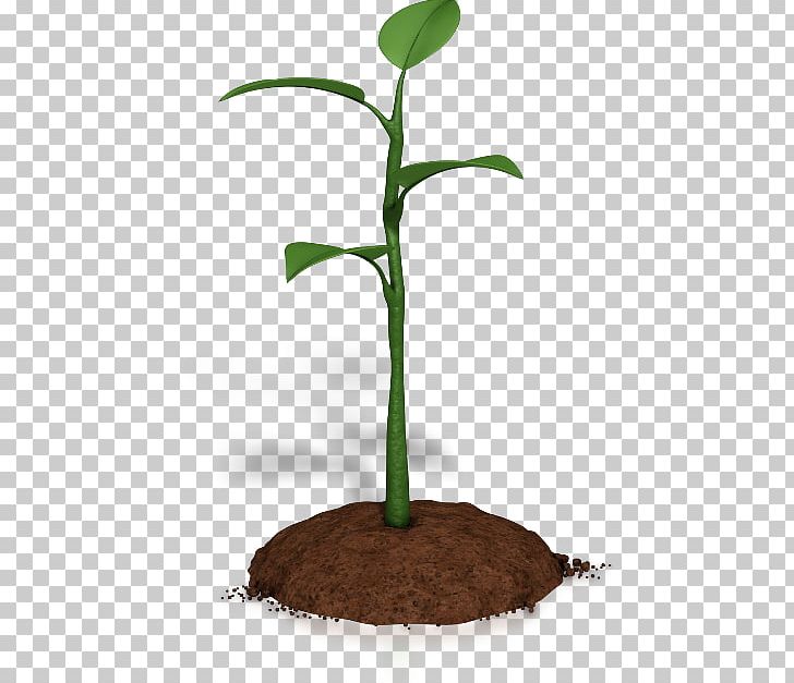 Plant Animation Microsoft PowerPoint PNG, Clipart, Angry Birds Pig, Animation, Apng, Flowerpot, Food Drinks Free PNG Download
