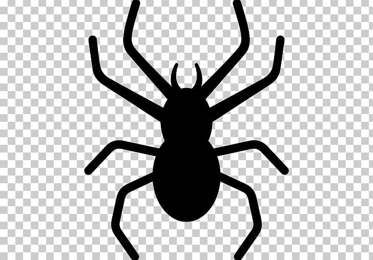 Spider Insect PNG, Clipart, Animal, Artwork, Black And White, Cartoon Spider, Computer Icons Free PNG Download