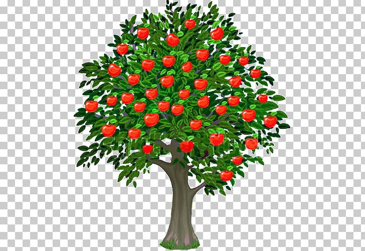 Apple Fuji PNG, Clipart, Apple, Apple Fruit, Apple Tree, Branch, Cut Flowers Free PNG Download