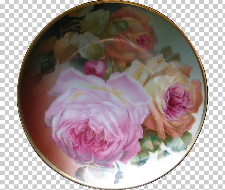 Cabbage Rose Garden Roses Petal Peony PNG, Clipart, Dishware, Floral Design, Flower, Flower Arranging, Garden Free PNG Download