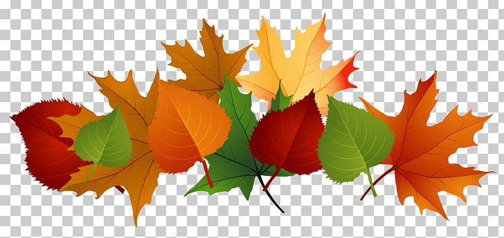 Autumn Leaf Color PNG, Clipart, Autumn, Autumn Leaf Color, Clip Art, Computer Wallpaper, Download Free PNG Download