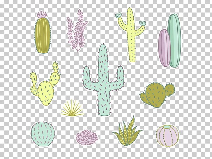 Cactaceae Succulent Plant Drawing PNG, Clipart, Boy Cartoon, Cactus, Cartoon Character, Cartoon Couple, Cartoon Eyes Free PNG Download