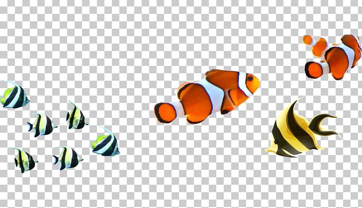 Angelfish Clownfish PNG, Clipart, Adobe Illustrator, Animals, Aquarium Fish, Brand, Computer Wallpaper Free PNG Download