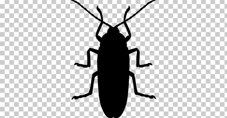 Cockroach Insect Ant Mosquito Pest Control PNG, Clipart, Animals, Arthropod, Bed Bug, Beetle, Black And White Free PNG Download