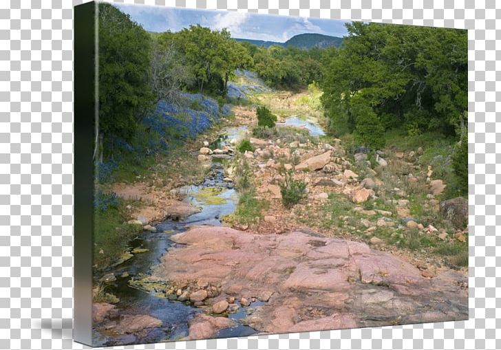 Hill Country State Natural Area Art Texas Hill Country State Natural Area Art Texas