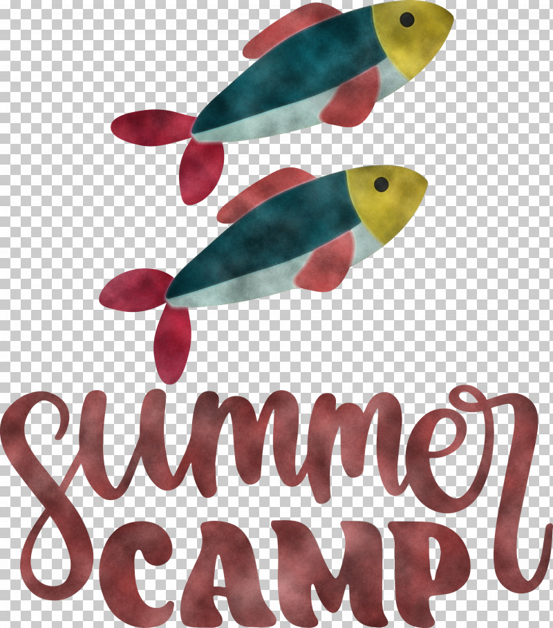Summer Camp Summer Camp PNG, Clipart, Biology, Camp, Fish, Meter, Science Free PNG Download