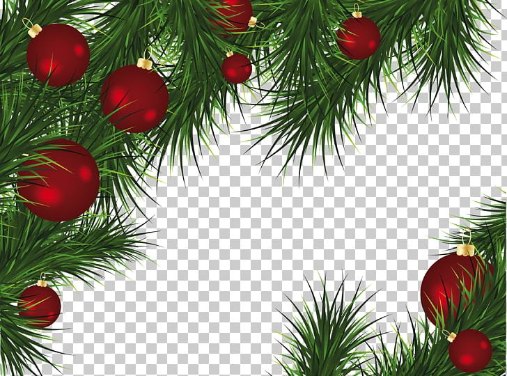 Christmas Decoration Santa Claus PNG, Clipart, Branch, Christma, Christmas, Christmas Ornament, Christmas Tree Free PNG Download