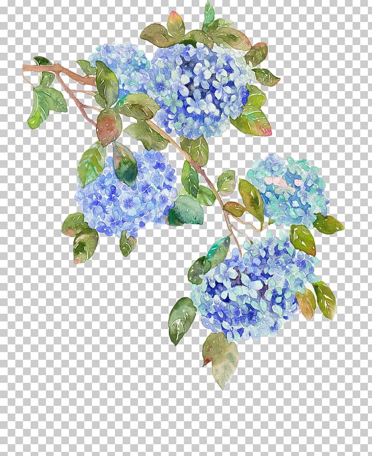 French Hydrangea Flower Blue PNG, Clipart, Blue, Cornales, Cut Flowers, Download, Floral Design Free PNG Download