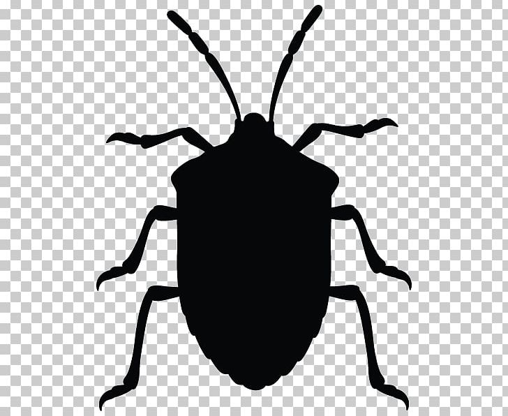 Insect Brown Marmorated Stink Bug True Bugs Graphics PNG, Clipart, Animals, Artwork, Beetle, Black And White, Brown Marmorated Stink Bug Free PNG Download