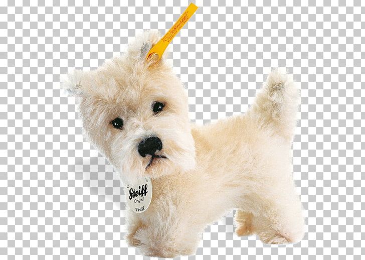 West Highland White Terrier Maltese Dog Havanese Dog Goldendoodle Schnoodle PNG, Clipart, Animal, Animals, Breed, Carnivoran, Companion Dog Free PNG Download