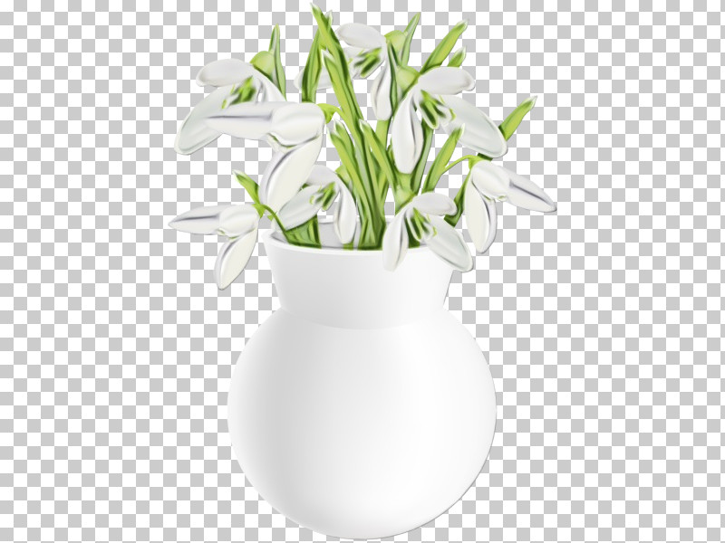 Flower White Flowerpot Plant Snowdrop PNG, Clipart, Amaryllis Family, Anthurium, Cut Flowers, Dendrobium, Flower Free PNG Download