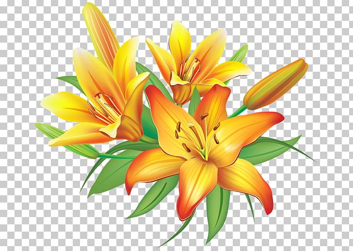 Flower Easter Lily PNG, Clipart, Blossom, Clip Art, Color, Cut Flowers, Daylily Free PNG Download