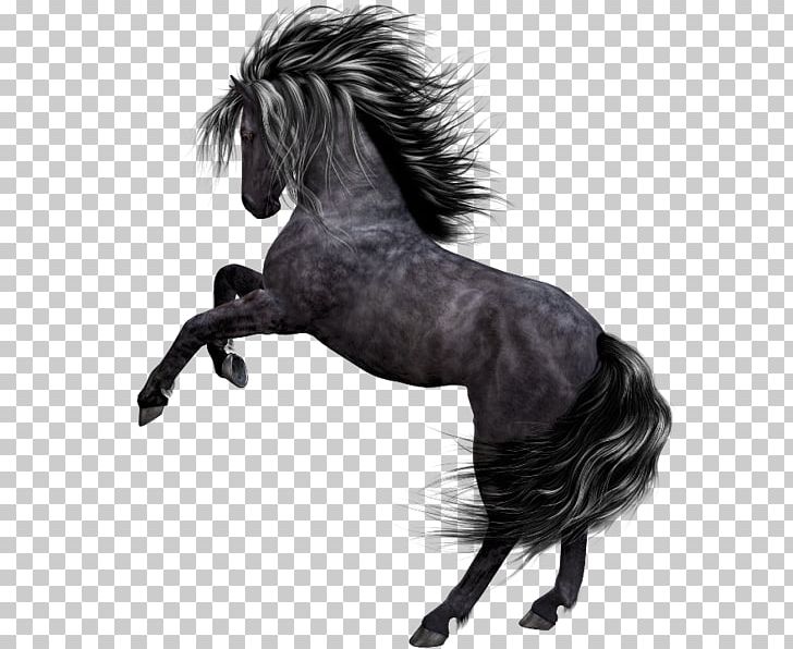 Mustang Akhal-Teke PNG, Clipart, Akhalteke, Black, Black And White, Bridle, Gallop Free PNG Download