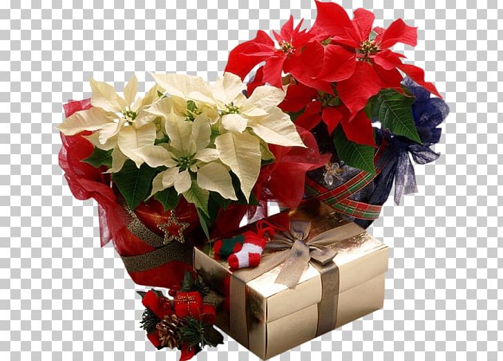 Poinsettia Christmas Gift Christmas Plants PNG, Clipart, Artificial Flower, Christmas, Christmas Card, Christmas Decoration, Christmas Gift Free PNG Download