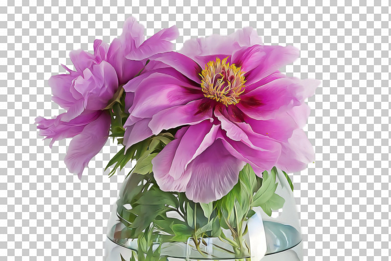 Spring PNG, Clipart, Anemone, Artificial Flower, Bouquet, Common Peony, Cut Flowers Free PNG Download
