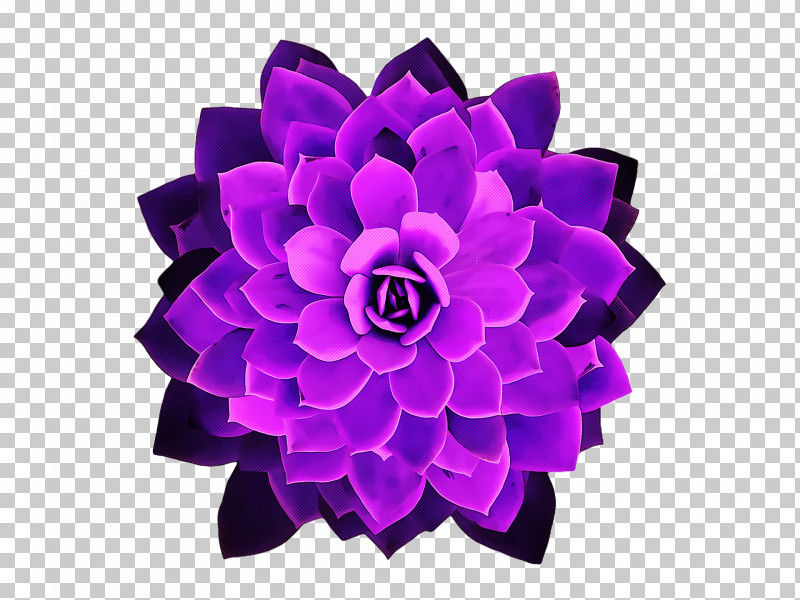 Cut Flowers Purple Petal Flower PNG, Clipart, Cut Flowers, Flower, Petal, Purple Free PNG Download
