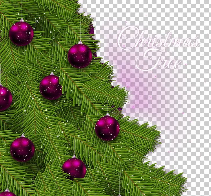 Christmas Tree Greeting Card PNG, Clipart, Beautiful Vector, Branch, Business Card, Card Vector, Christmas Decoration Free PNG Download