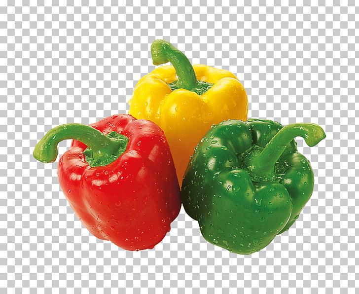 Dolma Bell Pepper Paprika Coleslaw Salad PNG, Clipart, Bell Peppers And ...