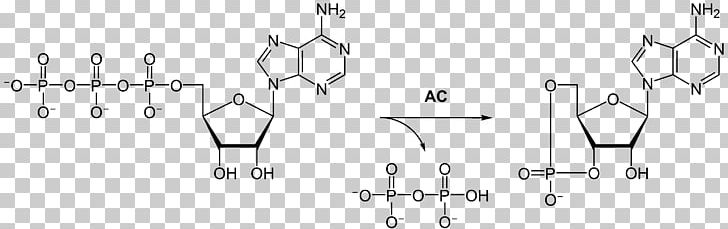 Flavin Adenine Dinucleotide Molecule Nicotinamide Adenine Dinucleotide Structure Adenosine Triphosphate PNG, Clipart, Adenosine Triphosphate, Adenylyl Cyclase, Angle, Arm, Auto Part Free PNG Download