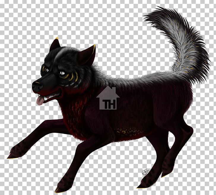 Schipperke Dog Breed Razas Nativas Vulnerables Fur PNG, Clipart, Breed ...