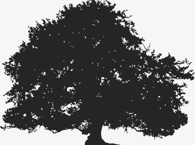 Tree Silhouette PNG, Clipart, Plant, Silhouette Clipart, Sketch, Tree, Tree Clipart Free PNG Download