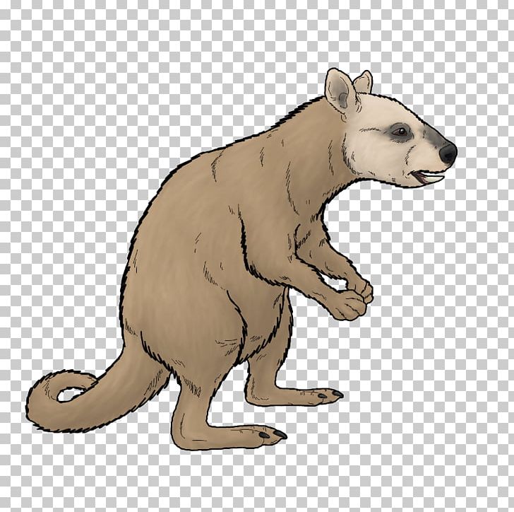 Bear Ekaltadeta Marsupial Rat Kangaroo PNG, Clipart, Ancestor, Animal, Animal Figure, Animals, Art Free PNG Download