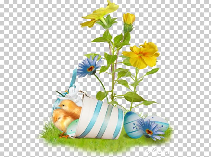 Easter Bunny Happy Easter! Easter Egg Easter Postcard PNG, Clipart, Cut Flowers, Daisy, Easter, Easter Bunny, Easter Egg Free PNG Download