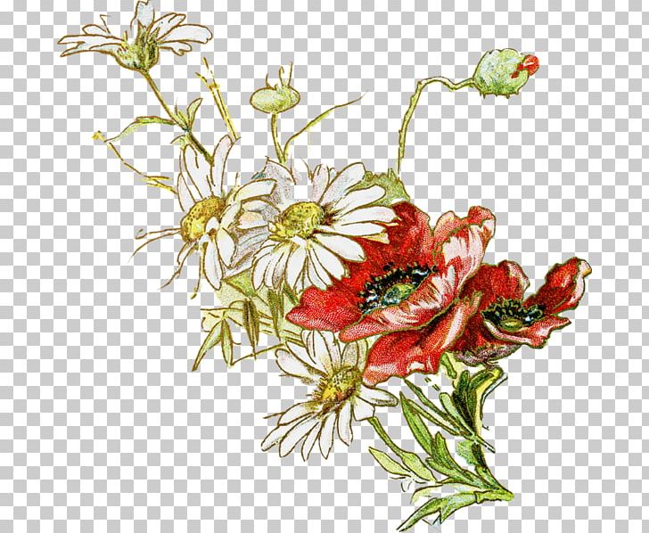 Floral Design Chrysanthemum Xd7grandiflorum Flower PNG, Clipart, Art, Chrysanthemum Xd7grandiflorum, Color Pencil, Colors, Color Smoke Free PNG Download