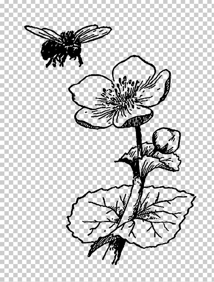 Bee Flower Drawing Black And White PNG, Clipart, Art, Branch, Brush Footed Butterfly, Fictional Character, Flower Free PNG Download